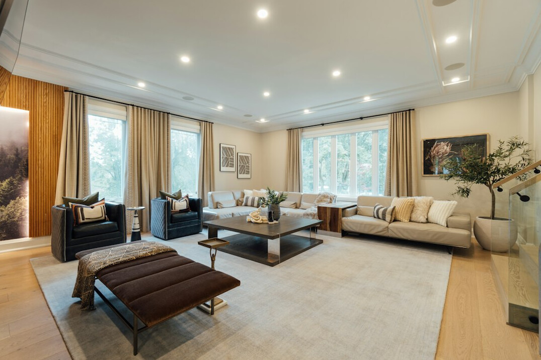 luxury living room interior
