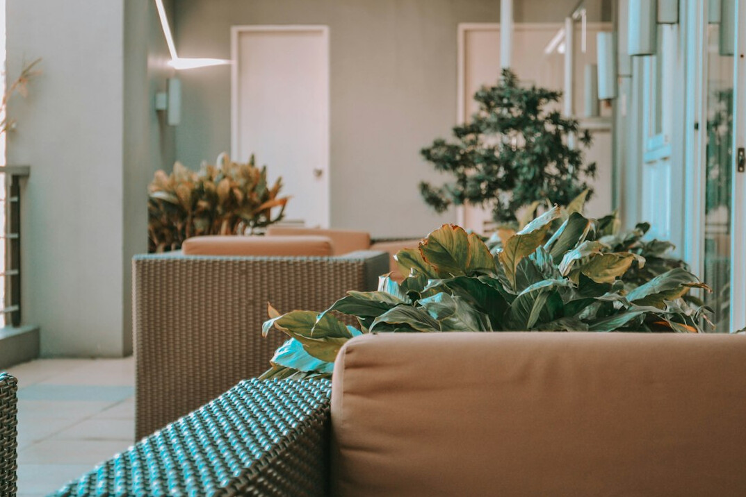 Retro garden terrace with wicker furniture and potted plants